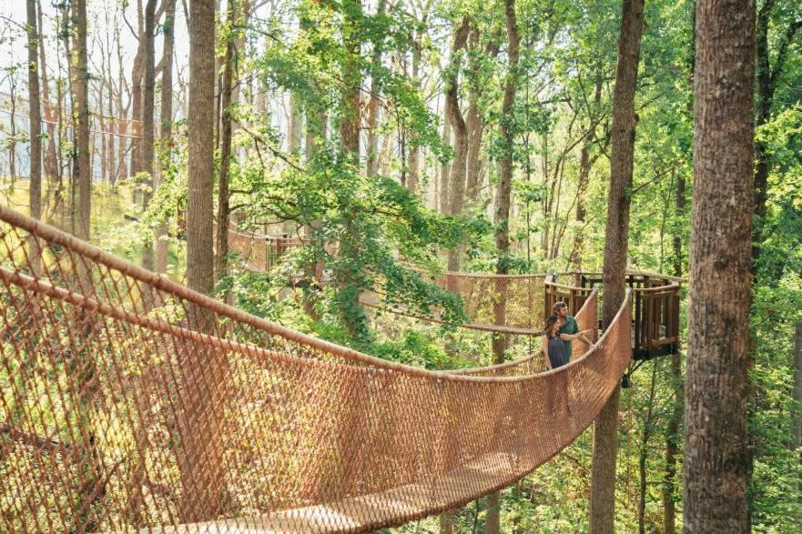 Romantic A-Frame Private Hottub Firepit Neargsmnp Сев'єрвілл Екстер'єр фото